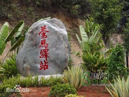 泉州到思茅貨運專線