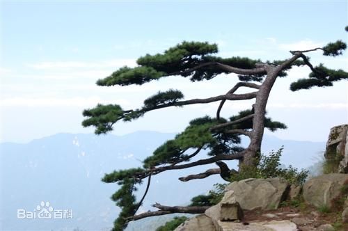 泉州到六安貨運專線