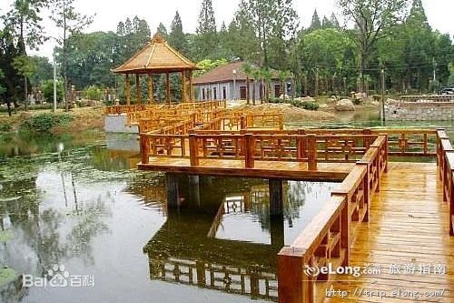 泉州到巢湖物流專線